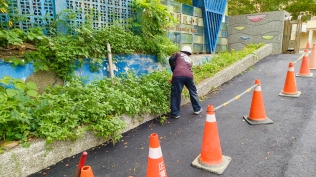 1130822校園樹木除草維護:LINE_ALBUM_2024.9.16_240916_37