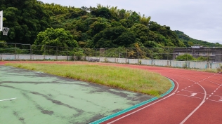 1130822校園樹木除草維護:LINE_ALBUM_2024.9.16_240916_50