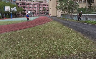 20250413樹木整理:27