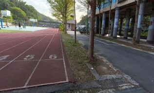 20250413樹木整理:35