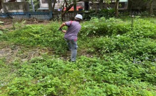 20250420生態區及廚房前雜草處理:47