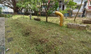 20250420生態區及廚房前雜草處理:63