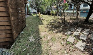 20250420生態區及廚房前雜草處理:68