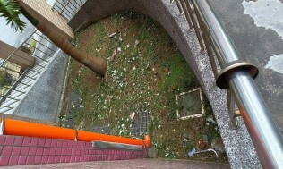 20250420生態區及廚房前雜草處理:71