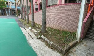20250420生態區及廚房前雜草處理:72